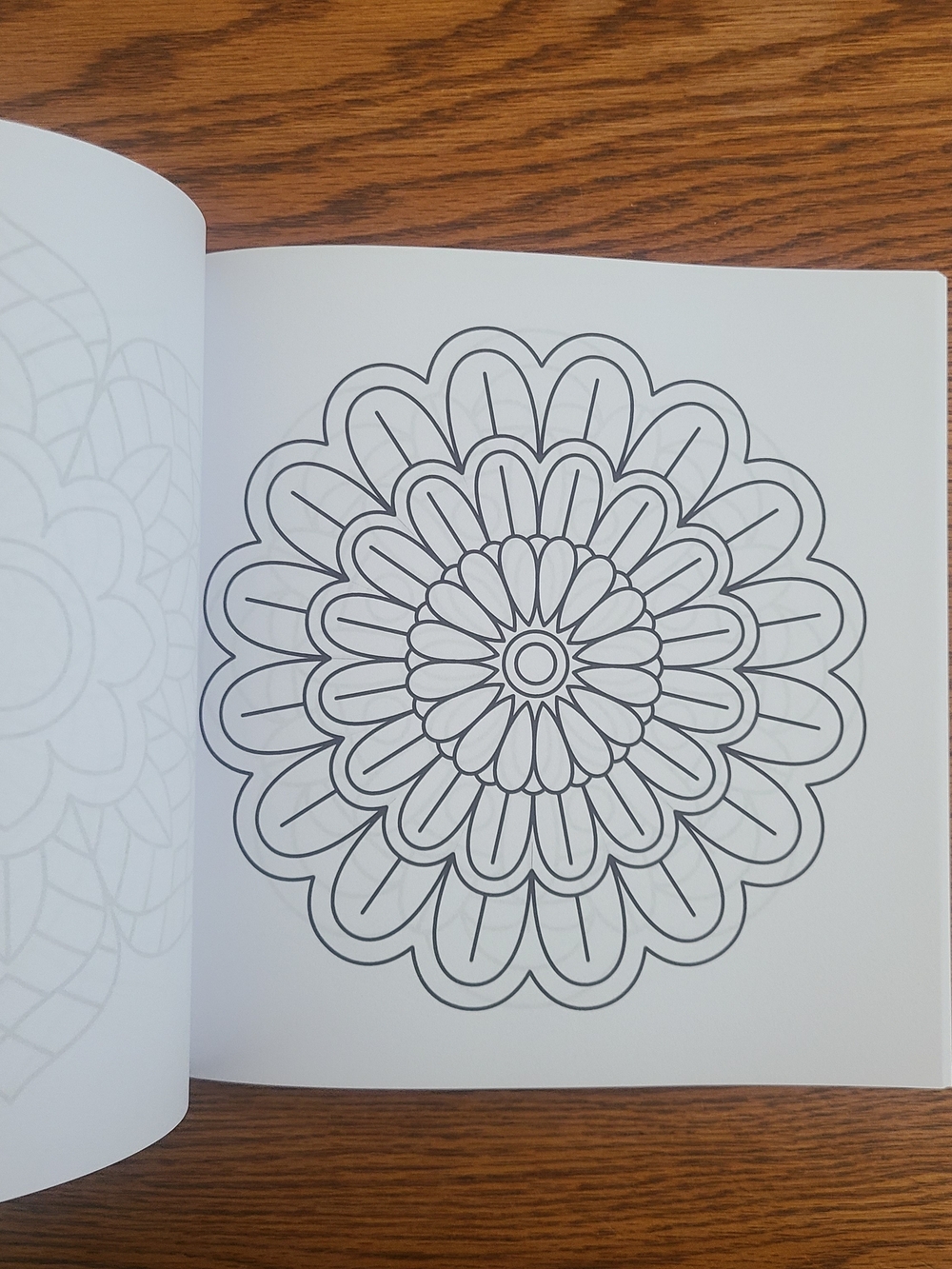Easy Adult Coloring Book W/Ohuhu Glitter Markers - Picture 6 of 12